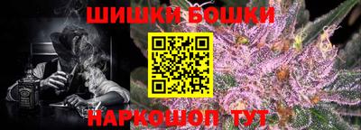 шишки Изобильный