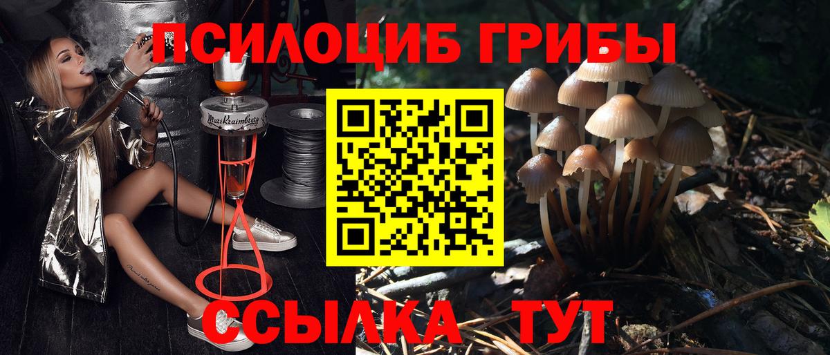 Тольятти  Псилоцибиновые грибы мицелий  Вход с VPN  Галлюциногенные грибы мухоморы 